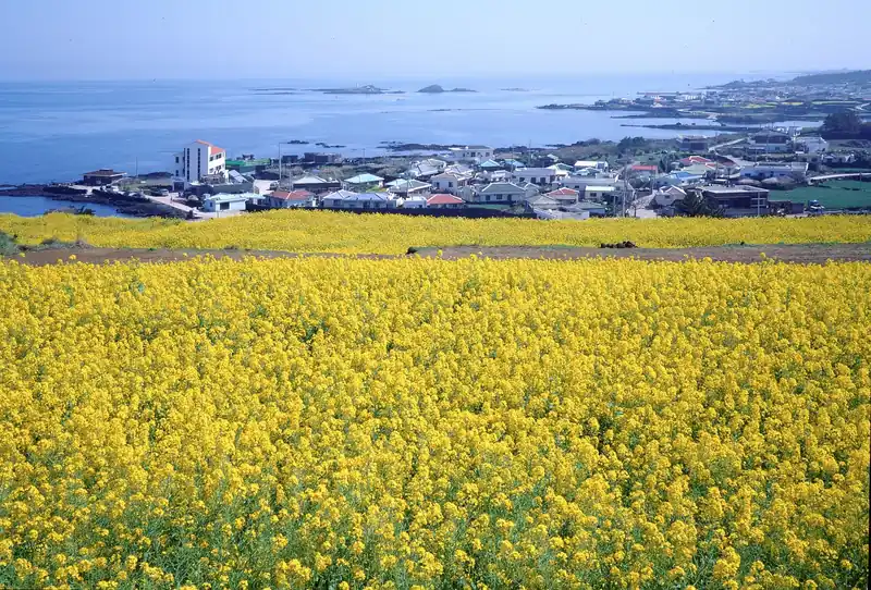 낮 vs 밤 복장