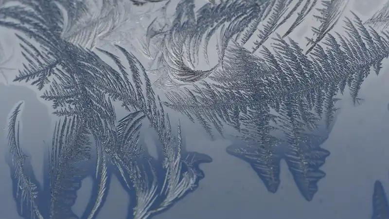 2024년 금시세 전문가 전망