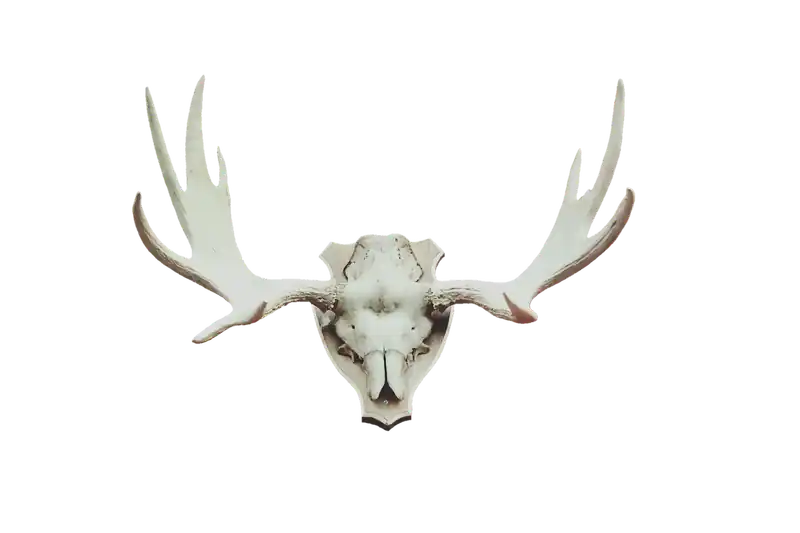 인기 보험 상품 TOP 3