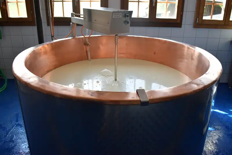 종류별 단백질 비교