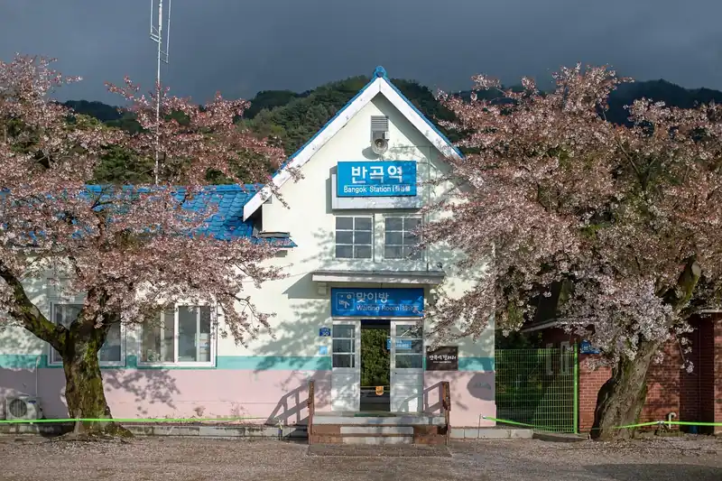 짜릿한 액티비티 강원도