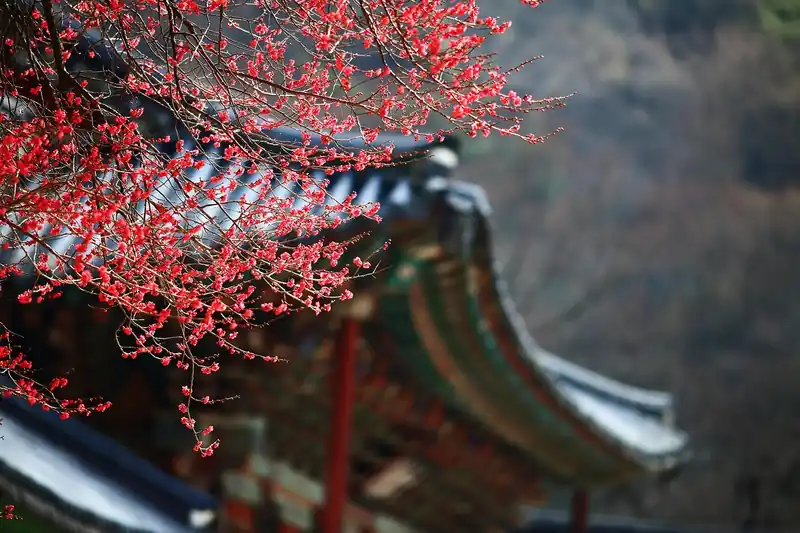 놓치면 후회할 액티비티