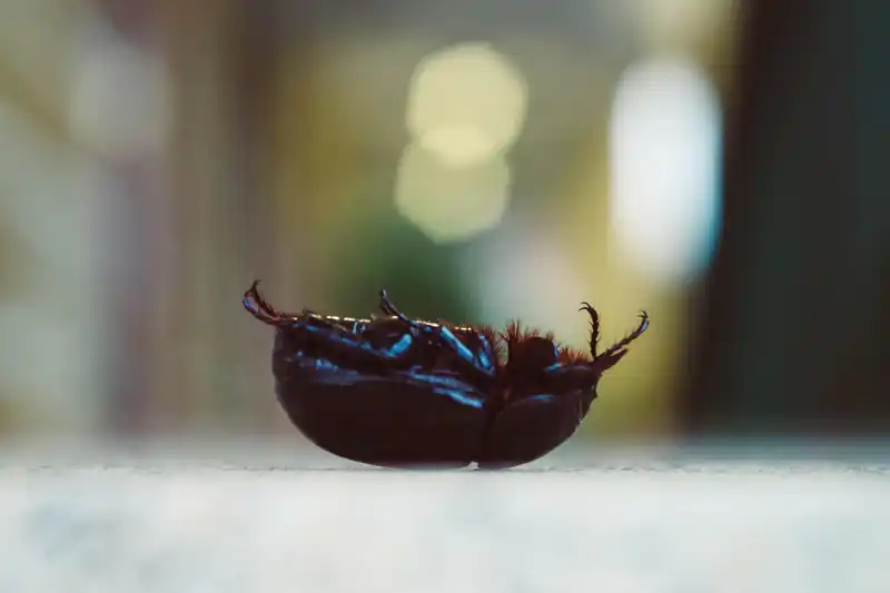 응용자세: 허리 비틀기