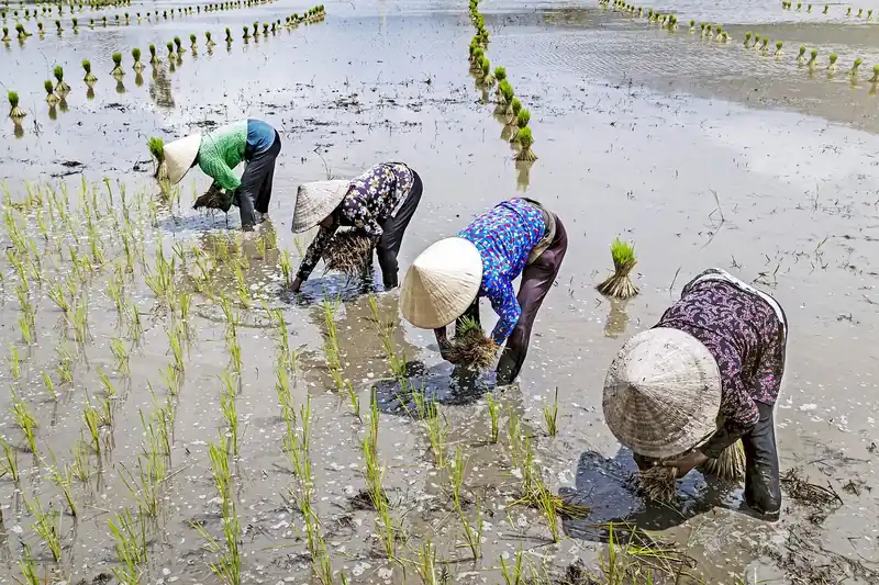 성공적인 선택 가이드