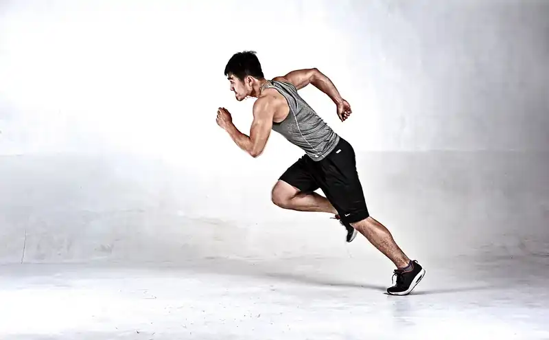 에너지가 넘치는 말띠 특징