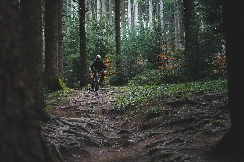29인치 MTB 장점