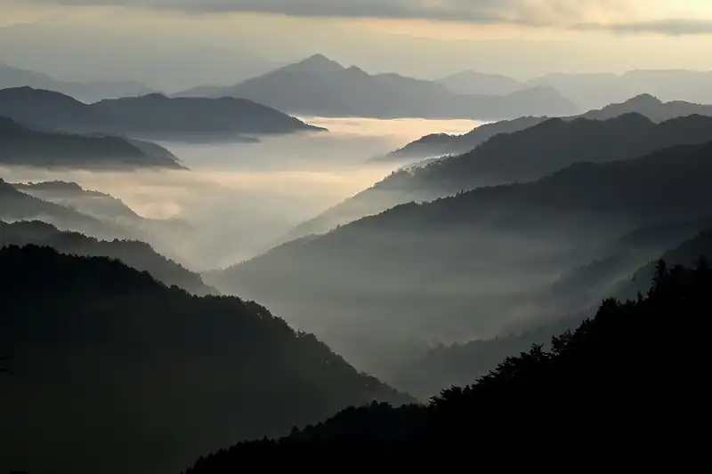 액티비티 즐기기