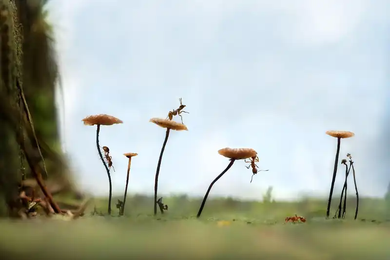 추천 라이딩 코스