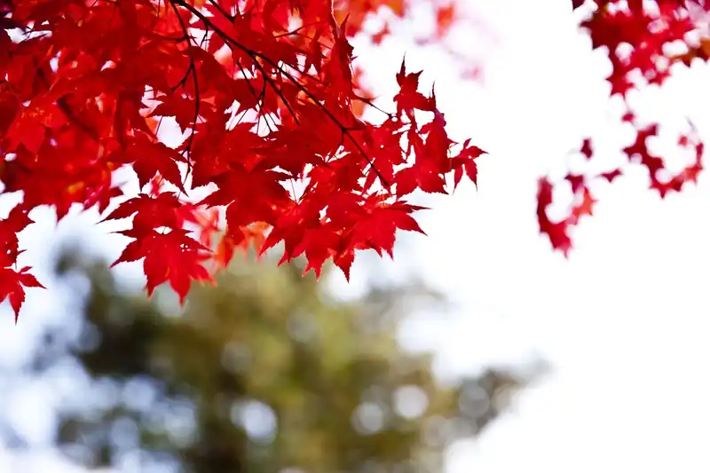 가성비 최고 액티비티