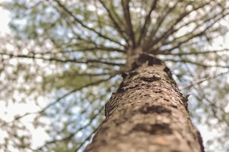 사진 찍기 좋은 스팟