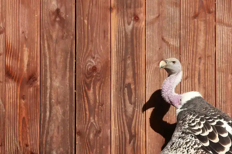 절차는 어떻게 되나요?