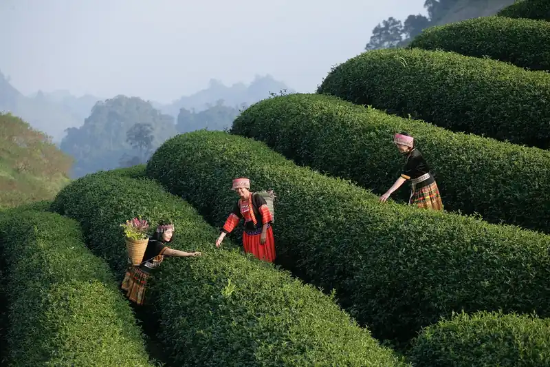 런치 세트로 가성비 잡기