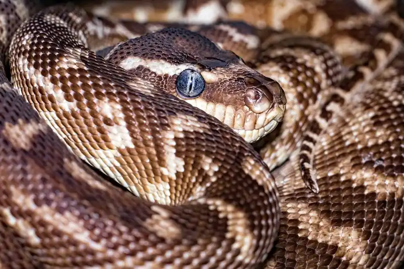 나의 BMI 결과 해석하기