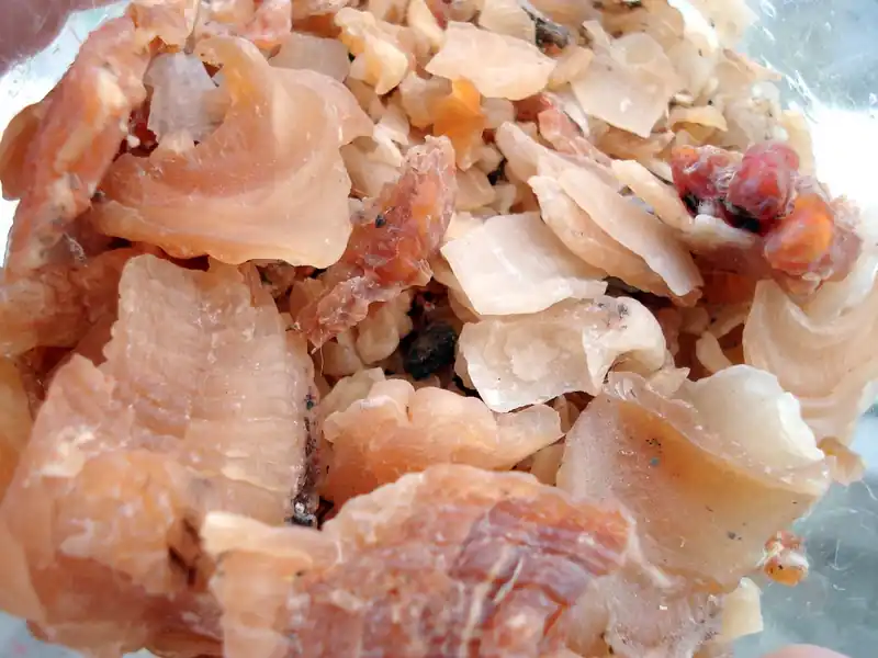 치료 후 관리법