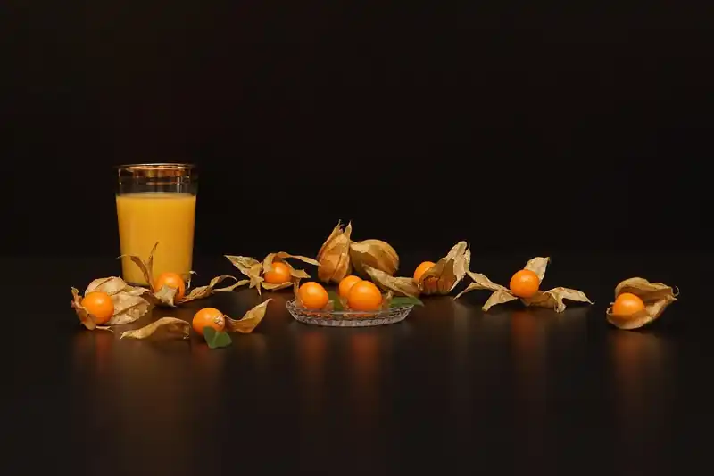 솔라나 가격 급등 이유는?