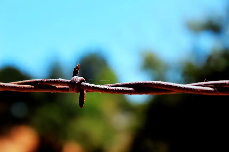 파상풍, 왜 중요할까?