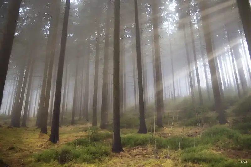 치료와 예방 방법