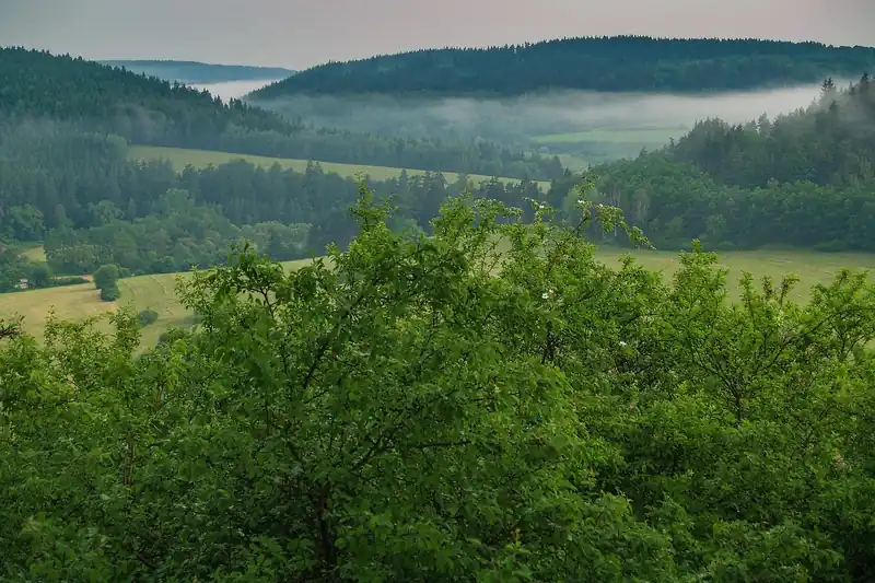 재발 및 합병증