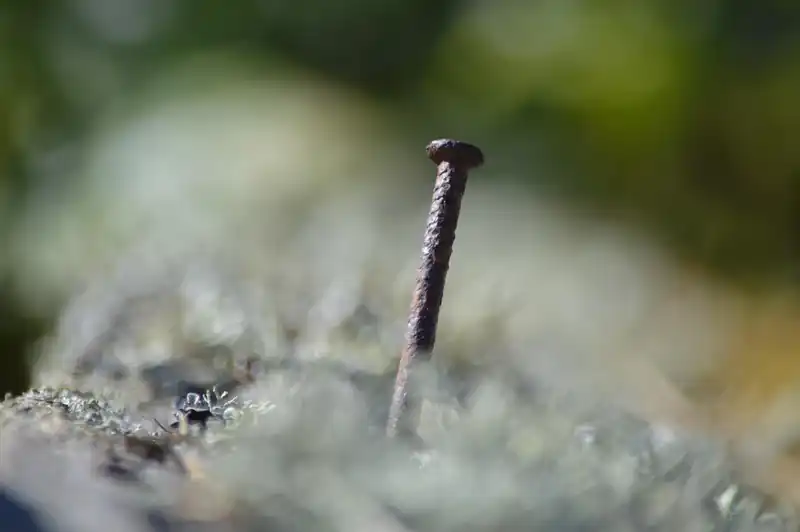 2025년 직급별 연봉 테이블