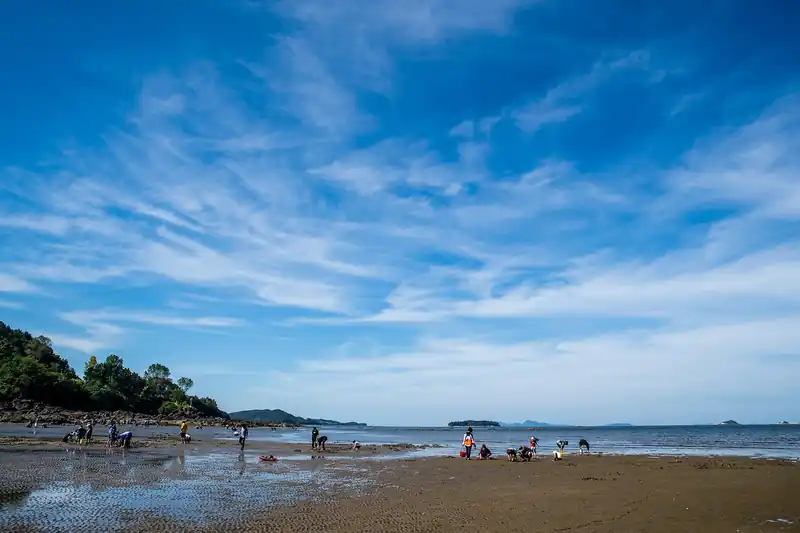 부안 교육의 현재