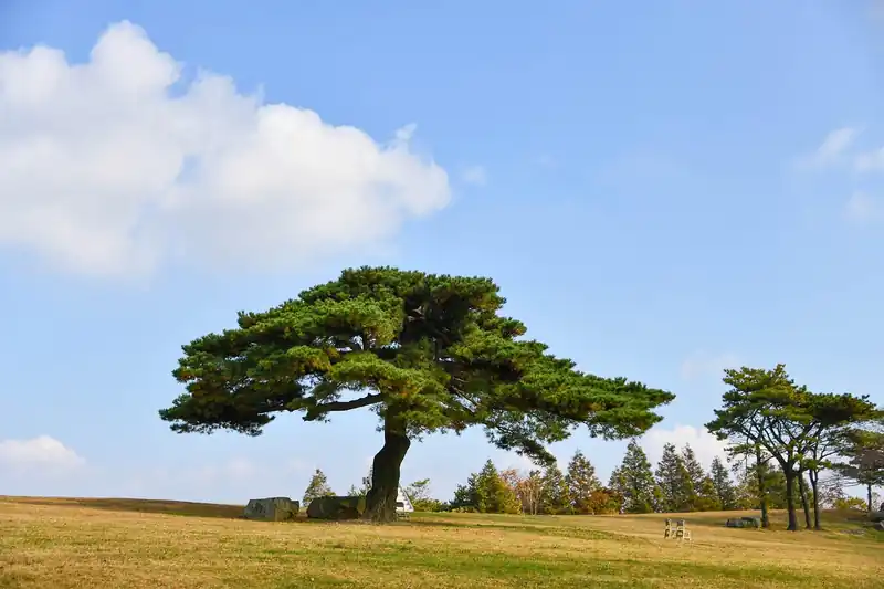 주변 관광지 연계