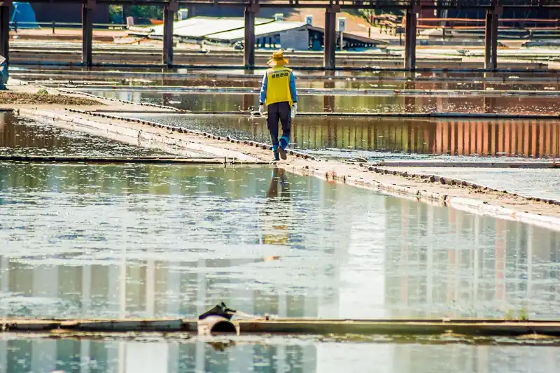 가장 먼저 나타나는 초기 증상