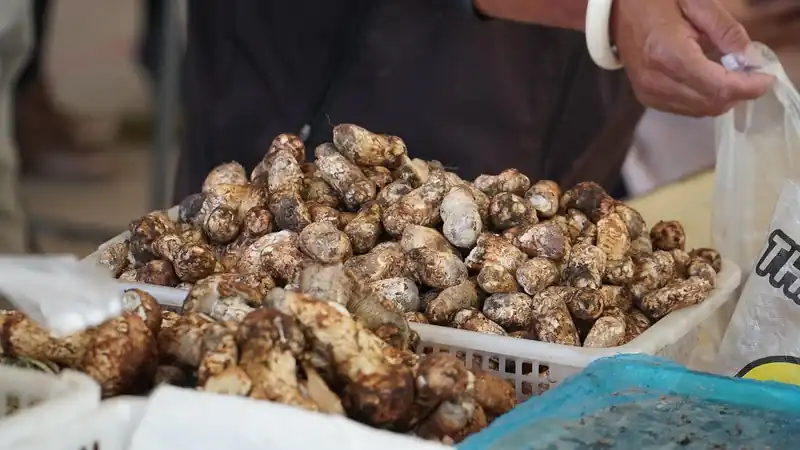 보관 전, 손질은 이렇게