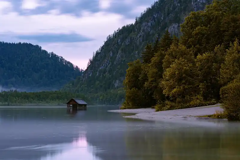 감염 경로 알아보기