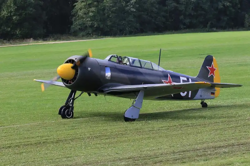 OTT 순위 총정리