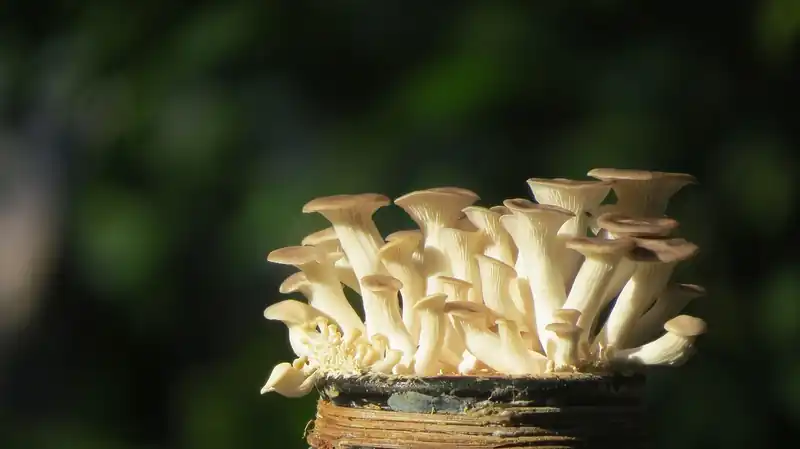 평균 키, 정말 나랑 같을까?