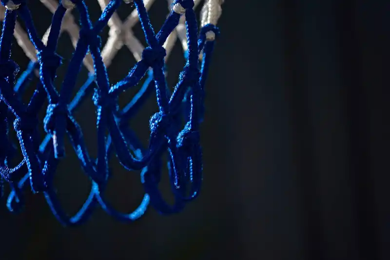 이번 시즌 하이라이트