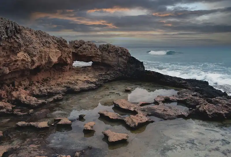 해남배추 1망 가격은?