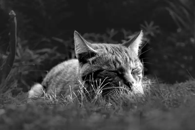 시험 전 꿀잠, 어디서?