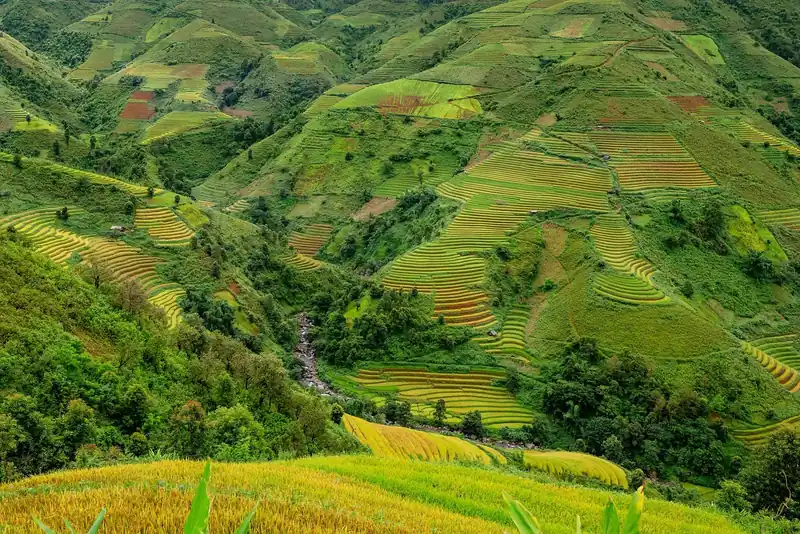 천혜진선향쌀 10kg 가격 비교