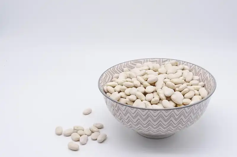 단백뇨의 신호일까?