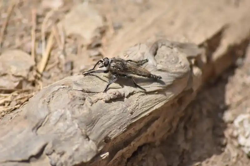 이변의 주인공은?