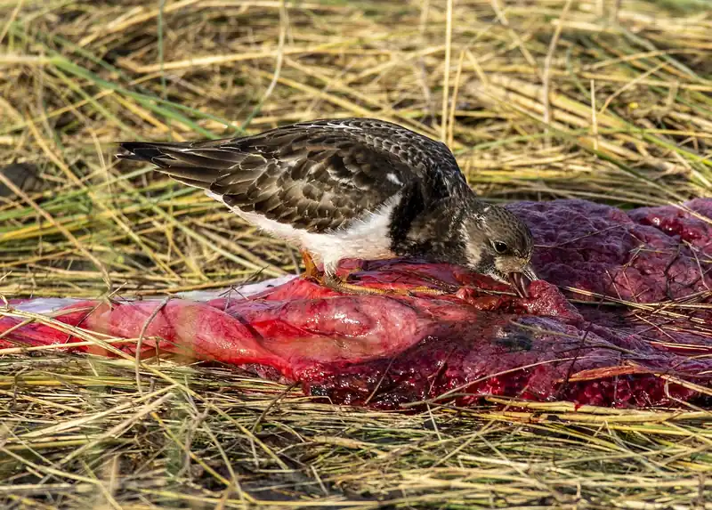 궁금해요! 부작용은?