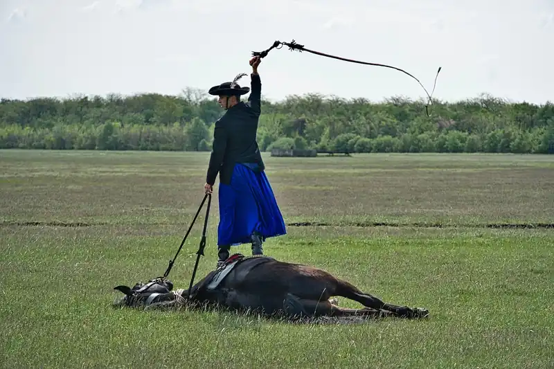 주요 후보 공개