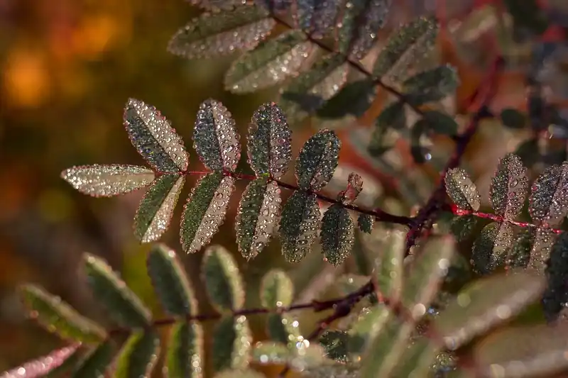 꾸준한 실천 팁