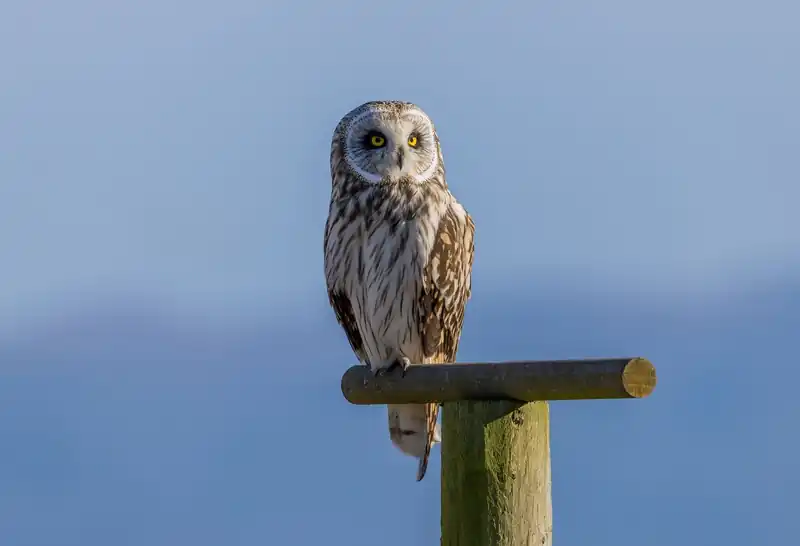 숨이 차는 증상, 왜 생길까?