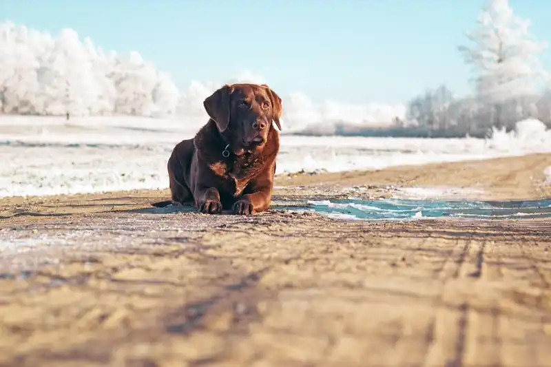 나타나는 증상들