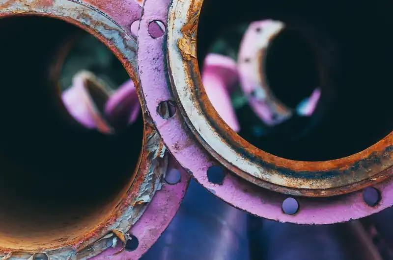 나는 철분 부족일까?