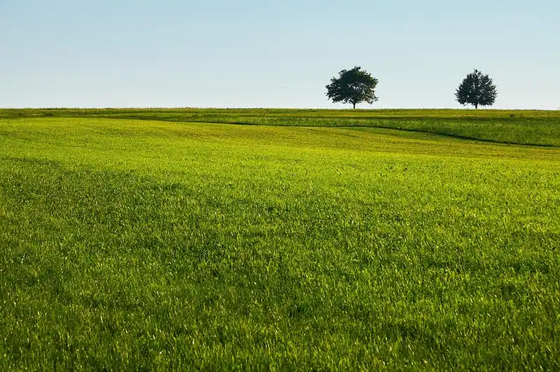 조용한 힐링 공간