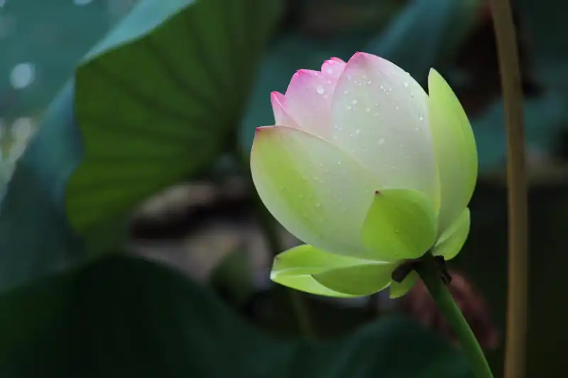 차단 후 대처법