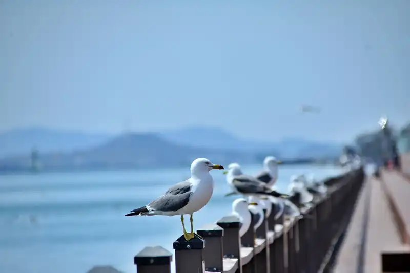 바다 앞 낭만